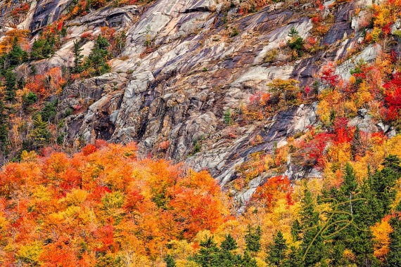 Color In The Notch. Crawford Notch, NH